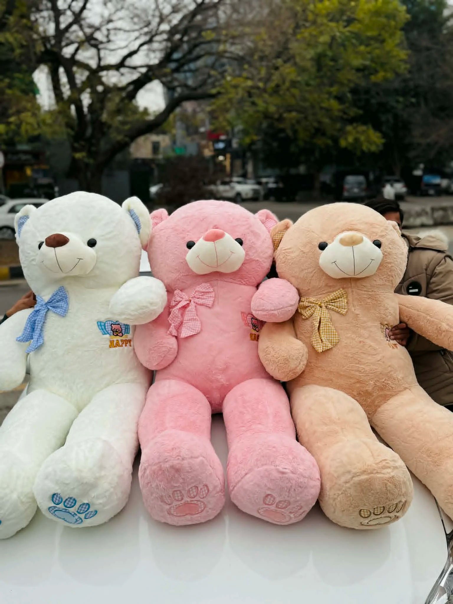 Cloud Cuddle 💖 3 Feet Ultra-Luxe Teddy Bear Collection