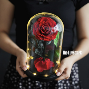 Crimson Eternity Red Forever Rose Islamabad