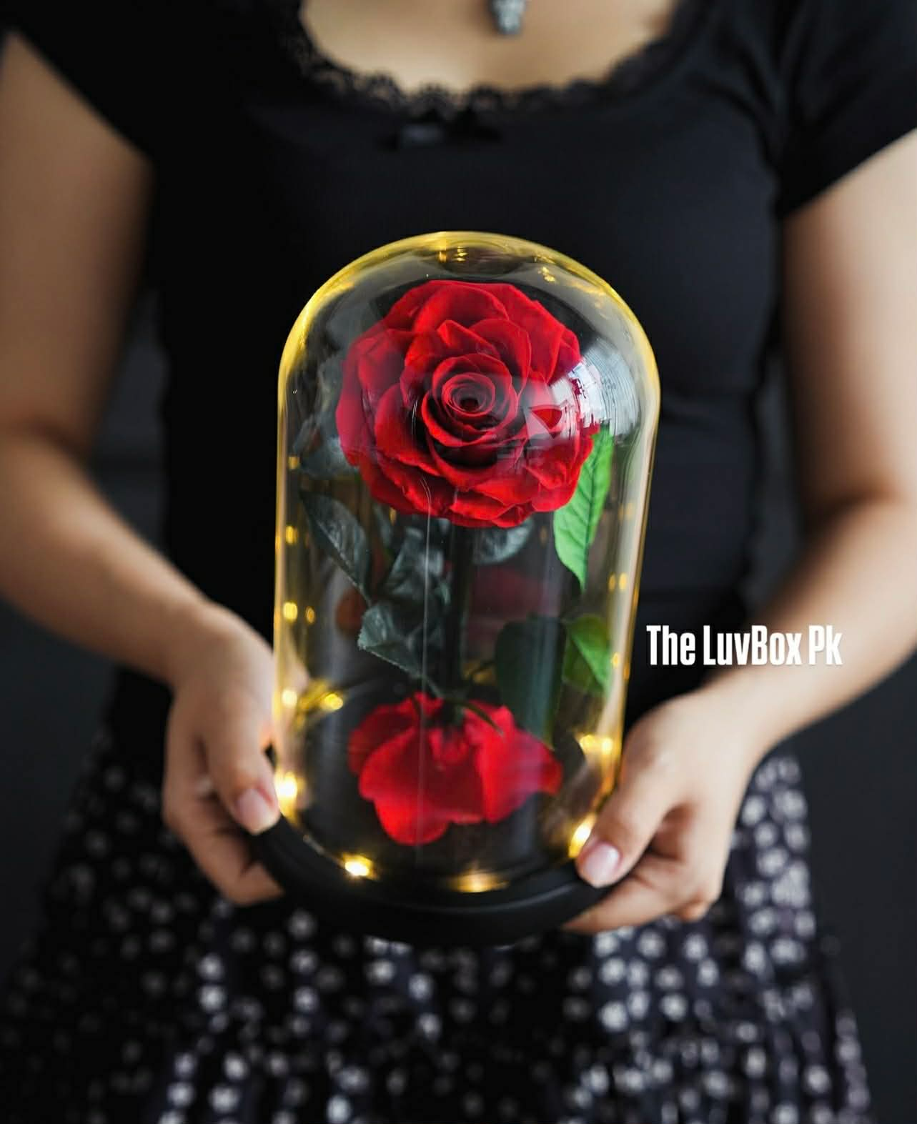 Crimson Eternity Red Forever Rose Islamabad