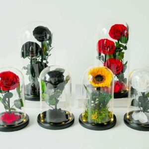 Eternal Bloom Dome – Luxury Forever Roses Islamabad in Glass (Multi-Color Edition)
