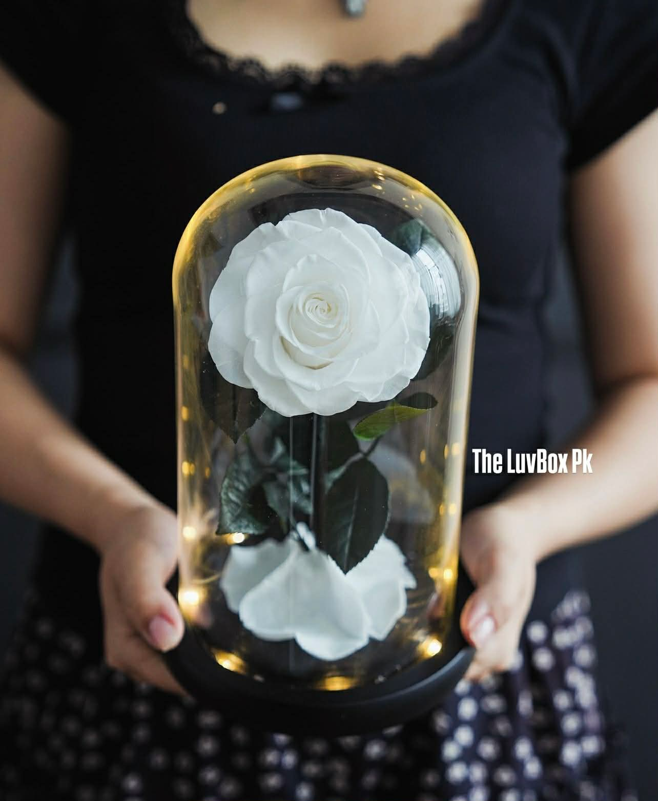Ivory Eternal White Forever Rose in Pakistan