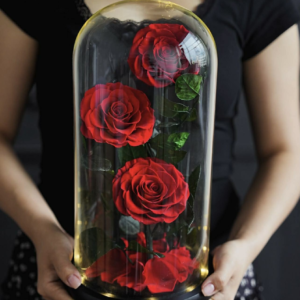 Tri-Scarlet Royale Forever Roses Pakistan in Glass Dome