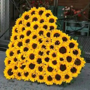 Golden Heart Royale – XXL 100 Sunflower Heart Box (Super Premium Luxury)